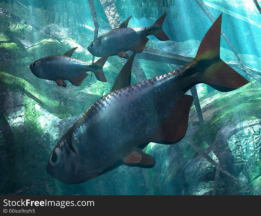 Illustration of  marine  life in acquarium. Illustration of  marine  life in acquarium