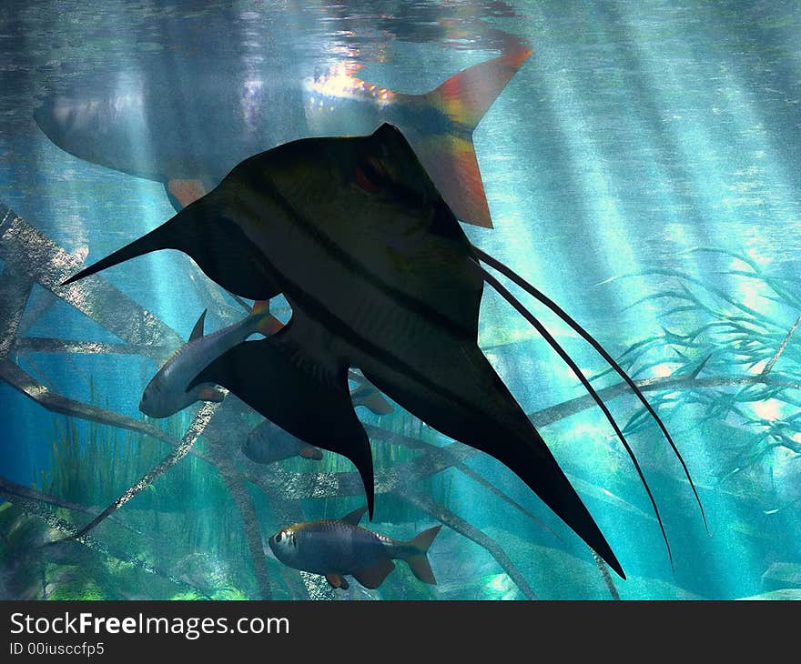 Illustration of  marine  life in acquarium. Illustration of  marine  life in acquarium