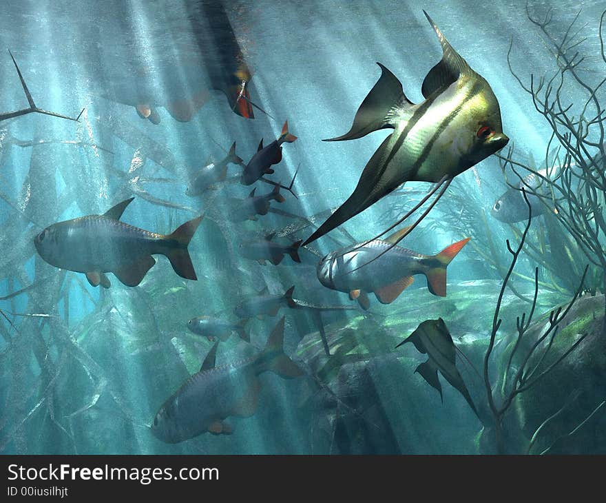 Illustration of  marine  life in acquarium. Illustration of  marine  life in acquarium