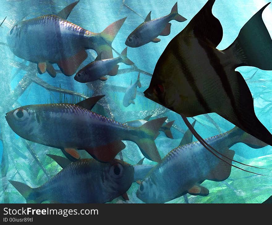 Illustration of  marine  life in acquarium. Illustration of  marine  life in acquarium