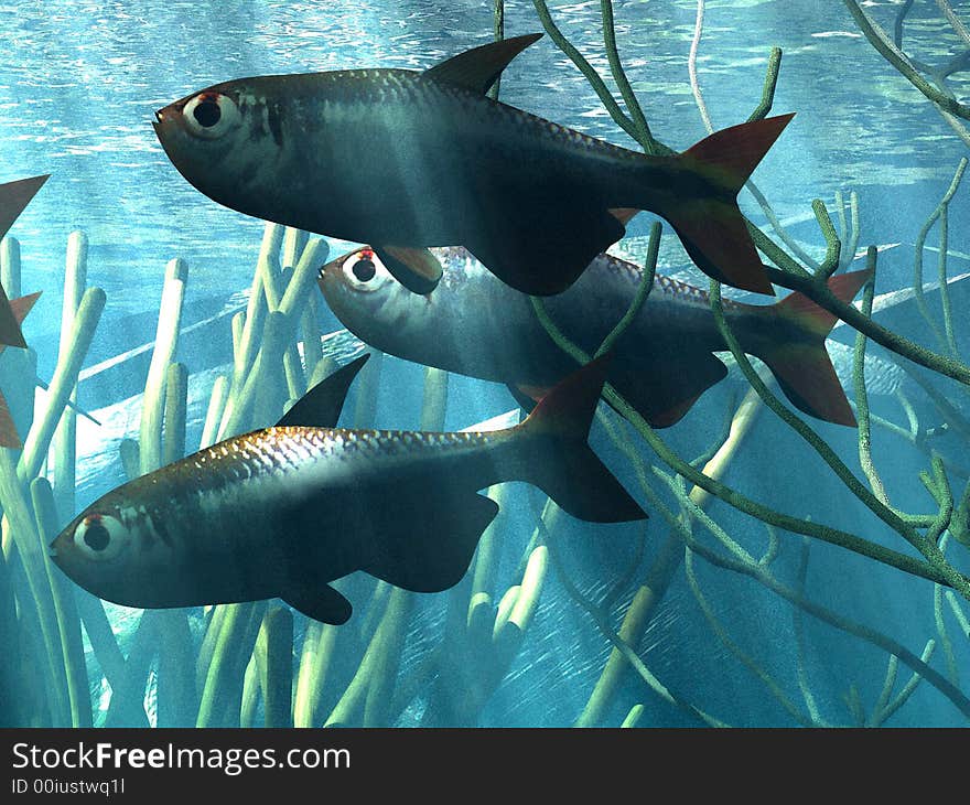 Illustration of  marine  life in acquarium. Illustration of  marine  life in acquarium