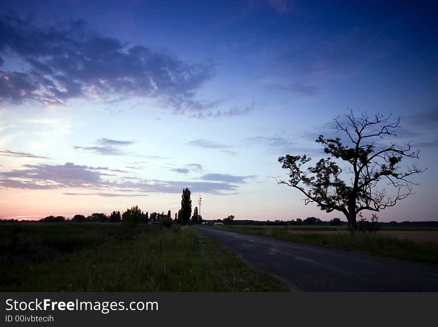 Sunset With A Tree