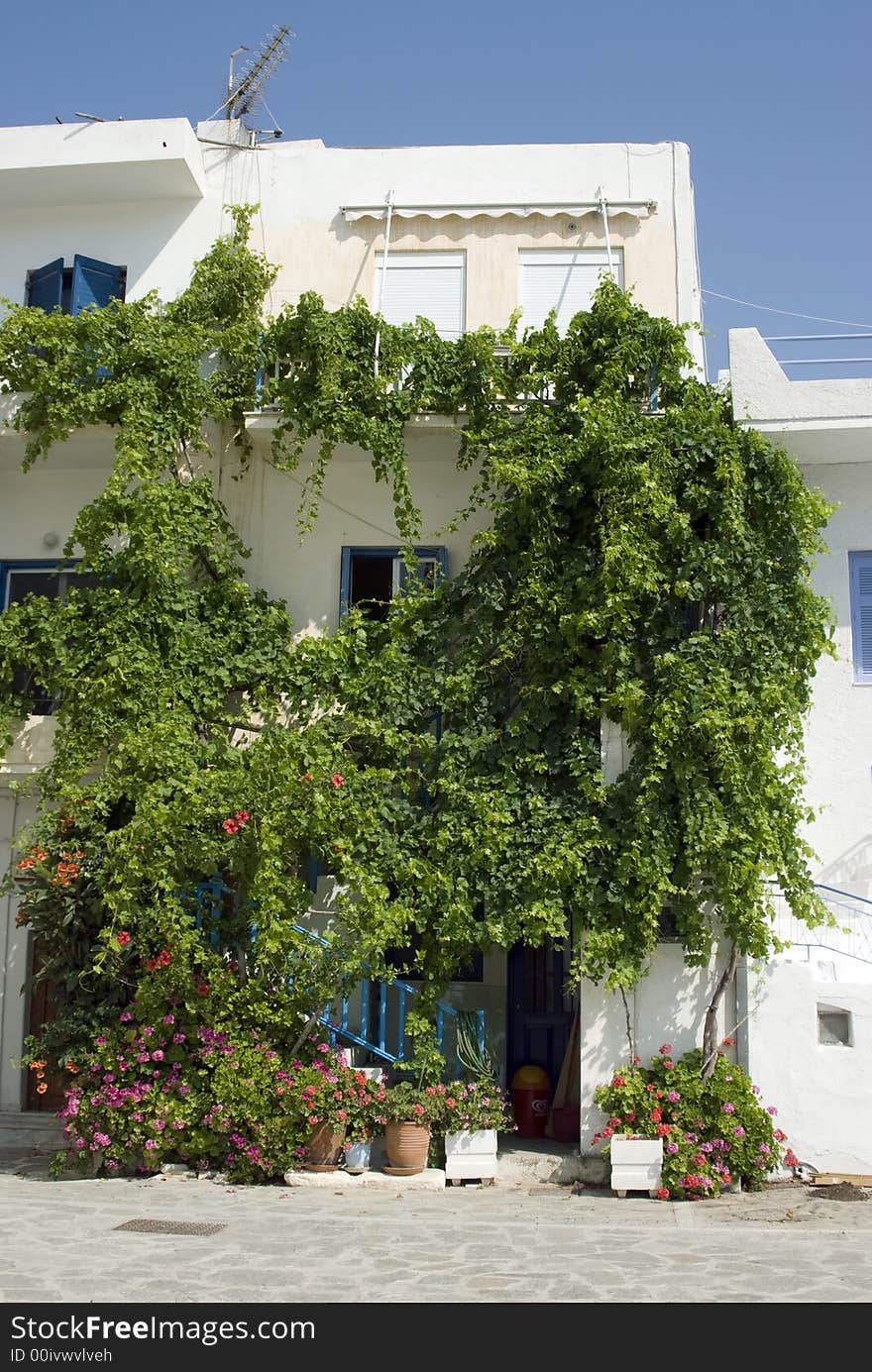 Greek island street scene cyclades architecture with plants bougainvillea and flowers