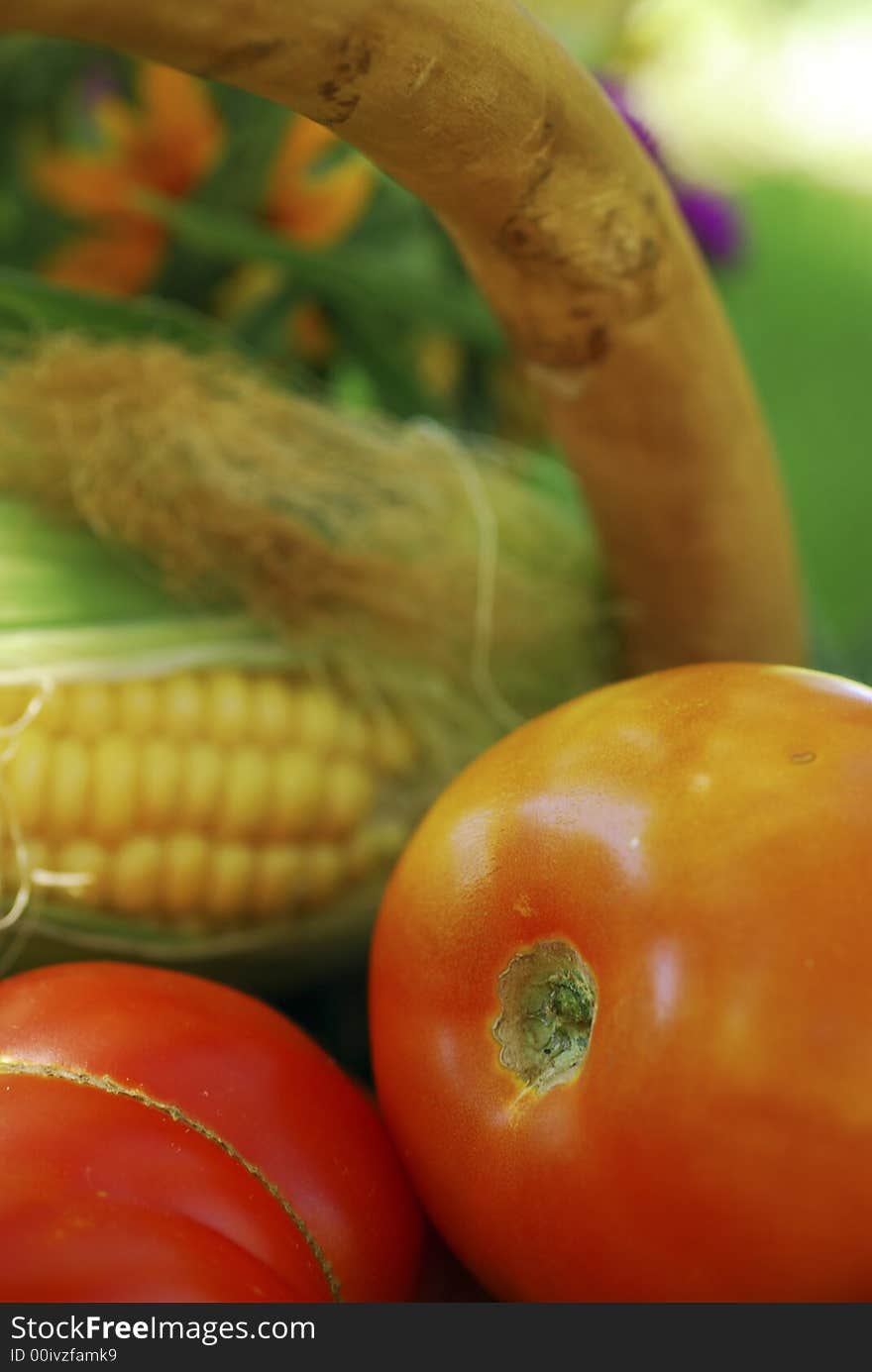 Basket of Garden Vegetables