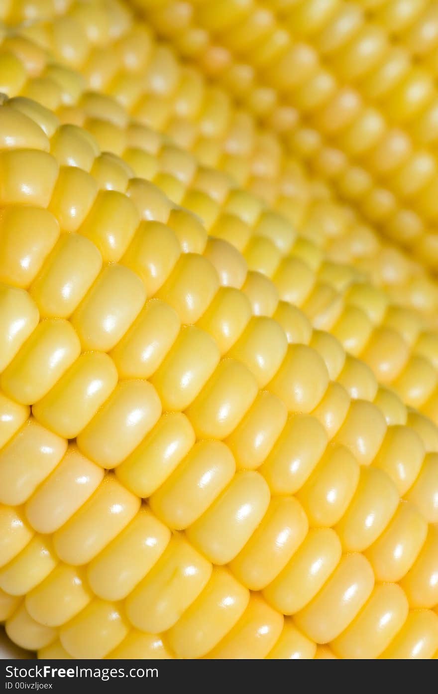 Corn background