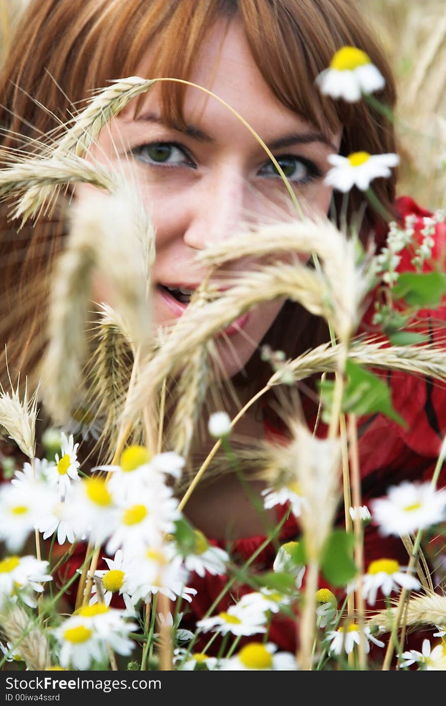 The girl and camomiles