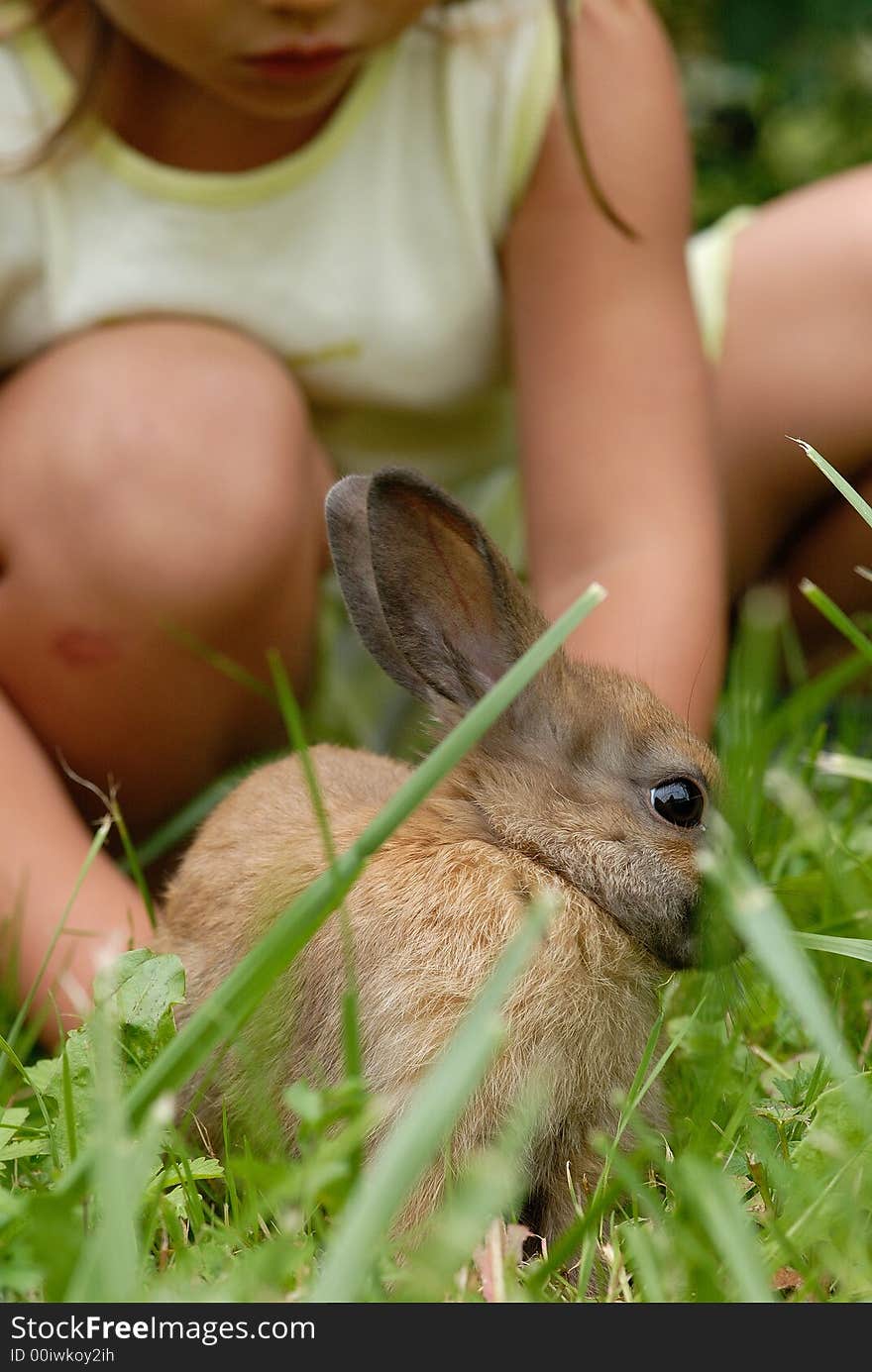 Photography of a young girl with a small rabbit in grass. Photography of a young girl with a small rabbit in grass