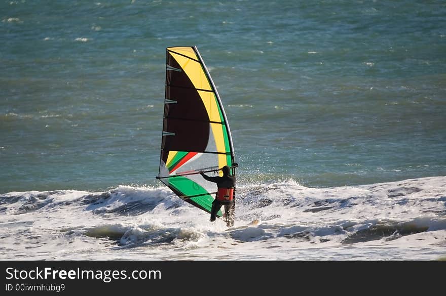 Windsurfer