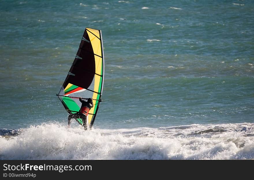 Windsurfer