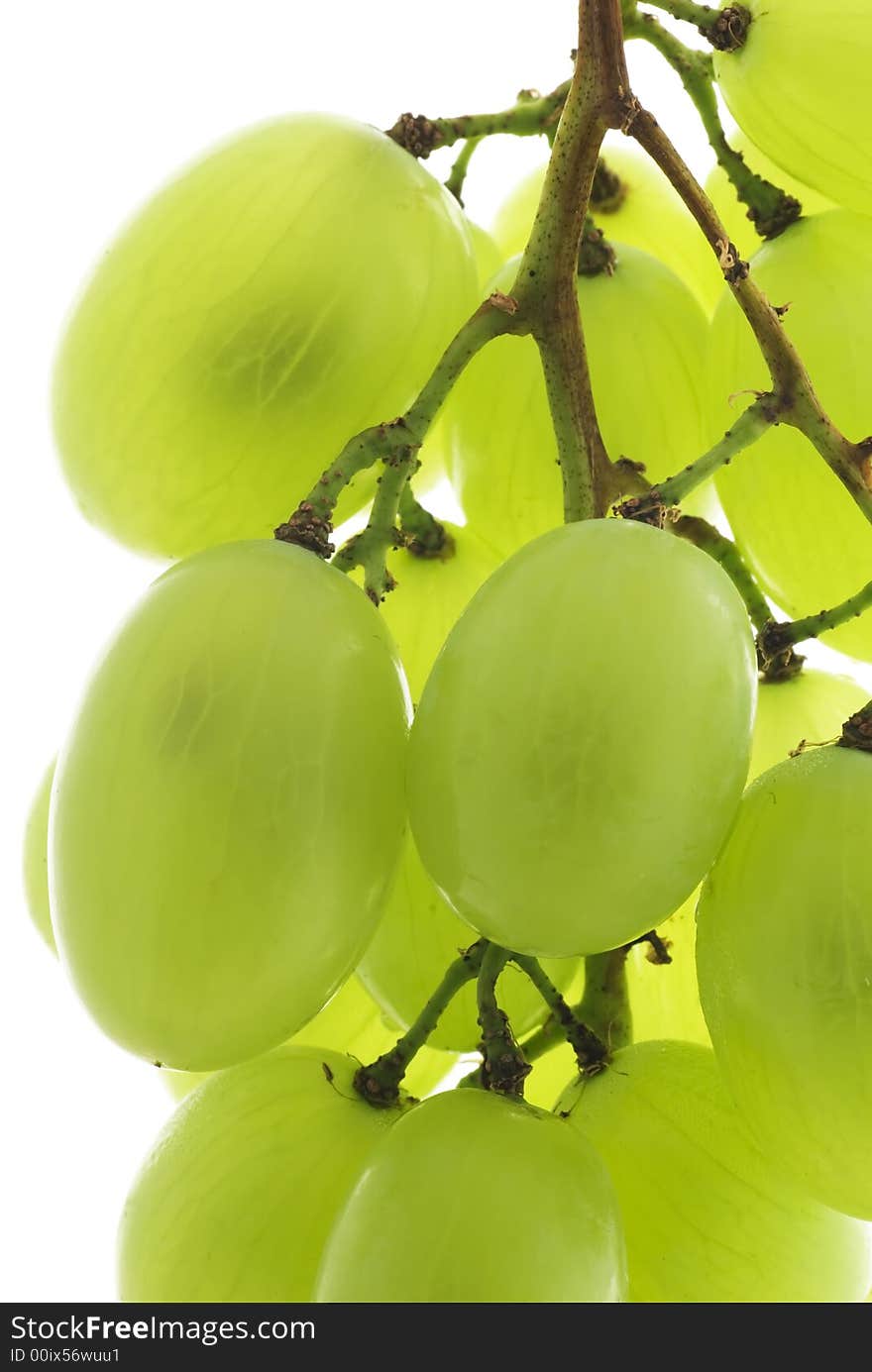 Green grape cluster on white background