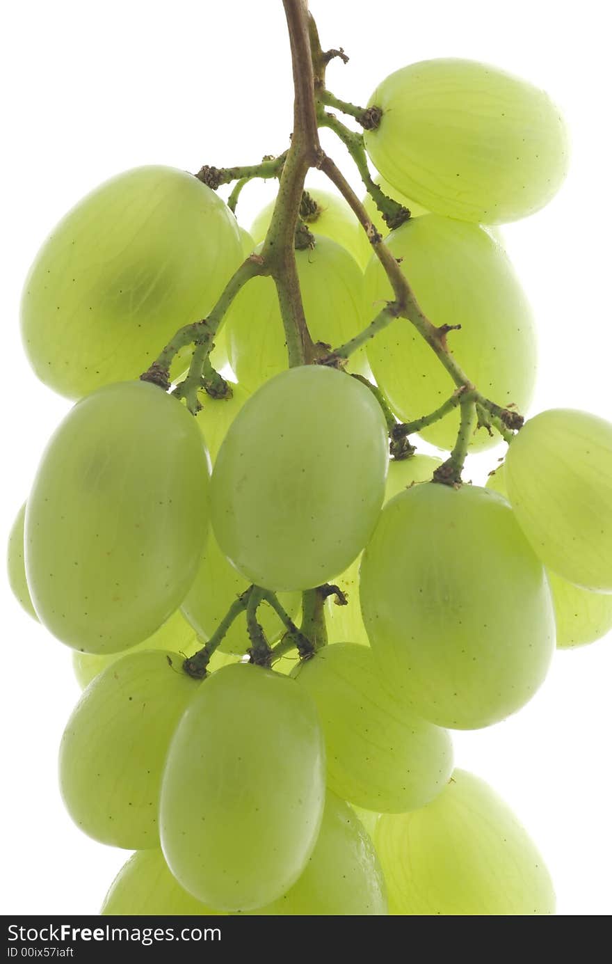 Green grape cluster on white background