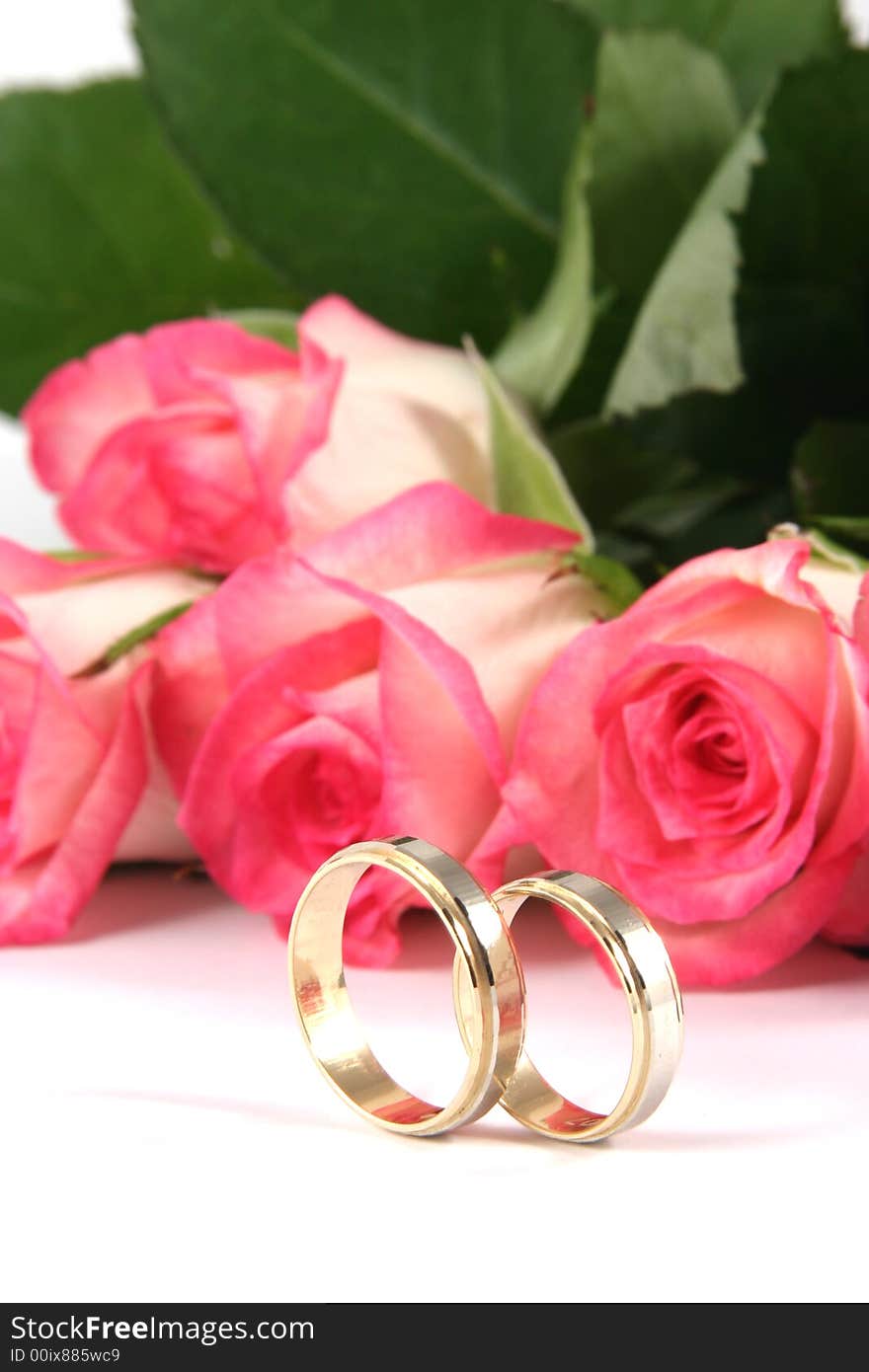 Wedding rings and roses on white background