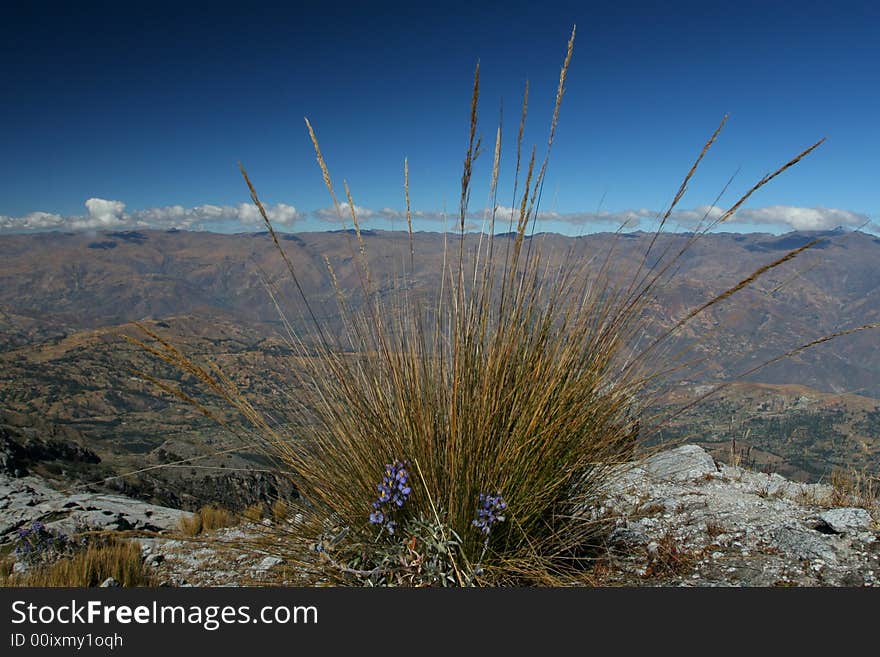 Mountain scenery - Andes