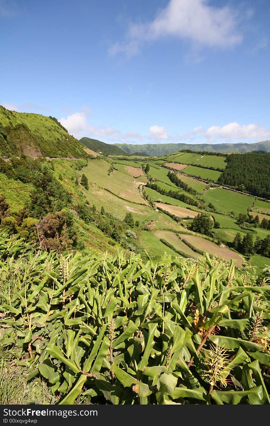 Azores Landscape