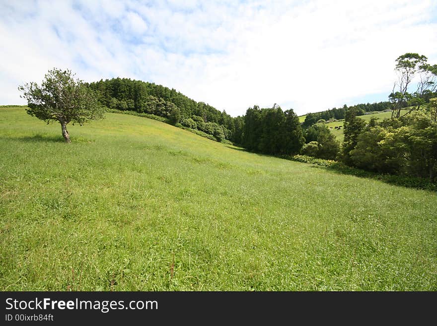 Azores Landscape