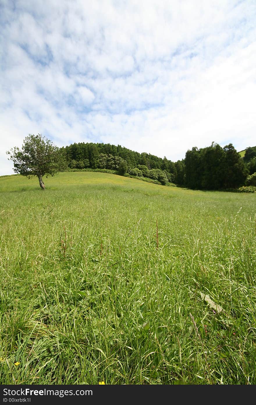 Azores Landscape