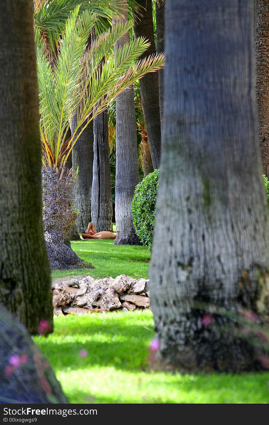 Man relaxing under palm trees. Man relaxing under palm trees.