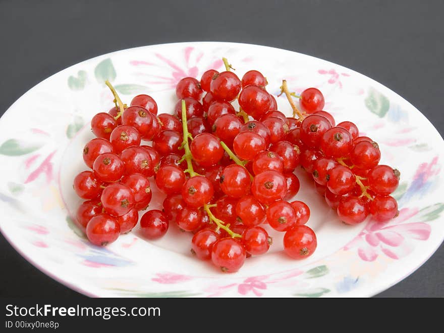 Red currant.-isolated