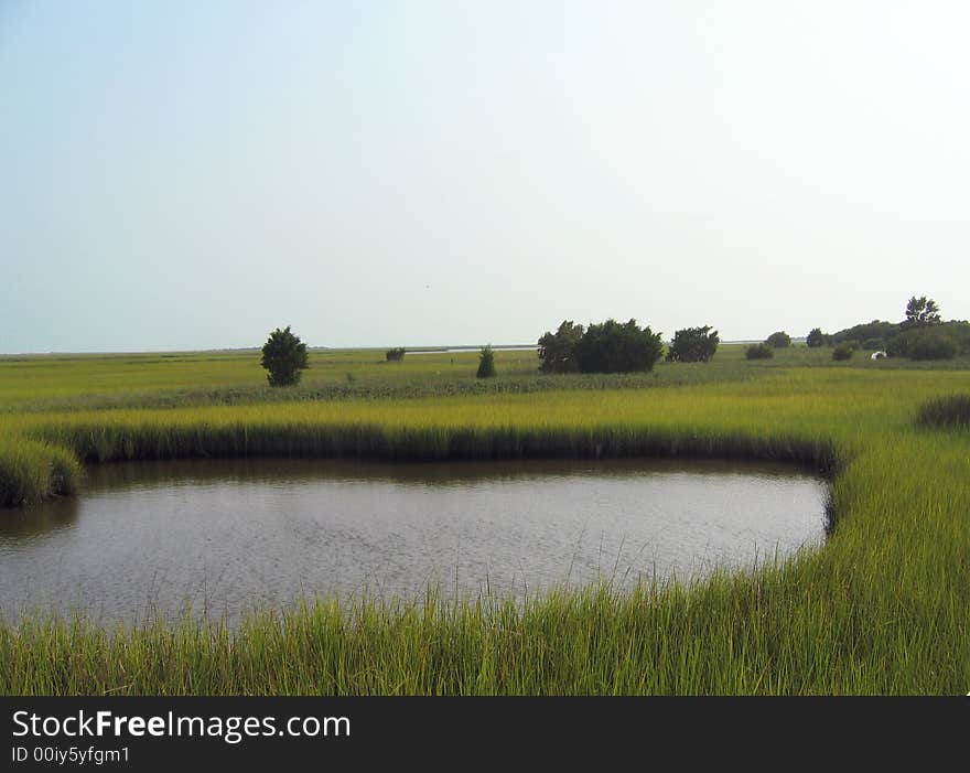 A small pond of water in the middle of a salt marsh. A small pond of water in the middle of a salt marsh