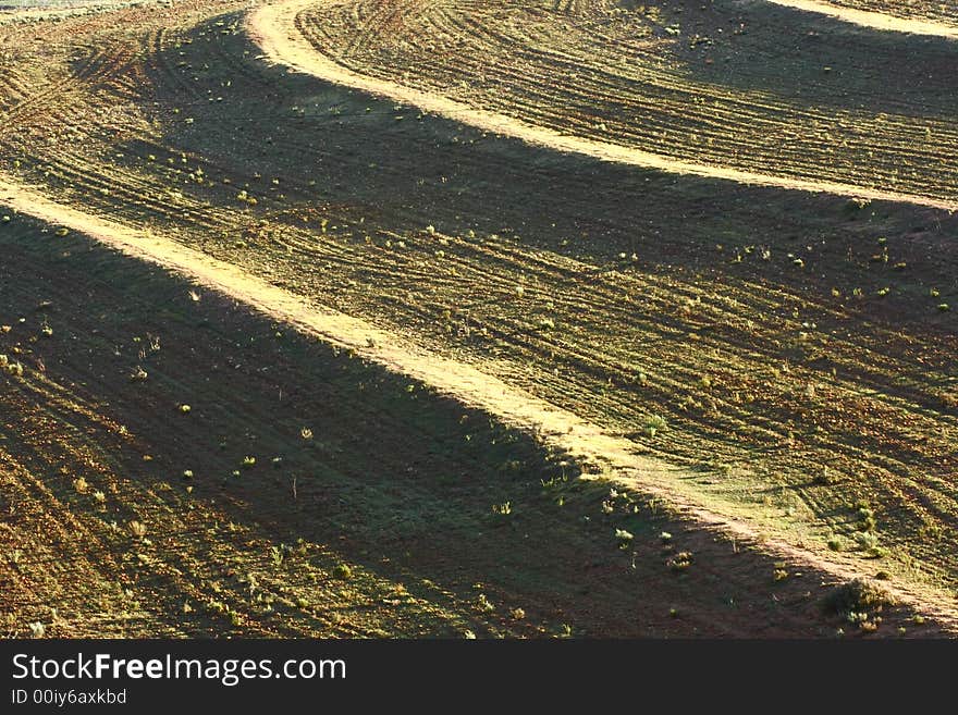 Curves On A Hill