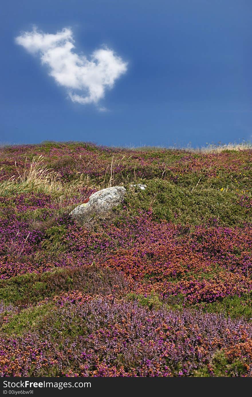 Raz Point in Britany, vertical photography with one cloud