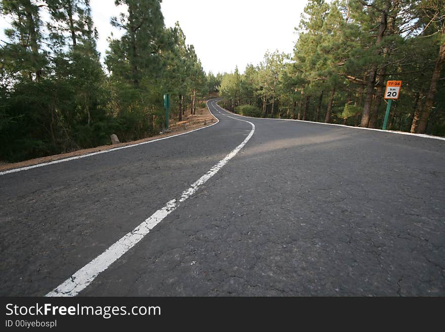 Mountain road in the forest