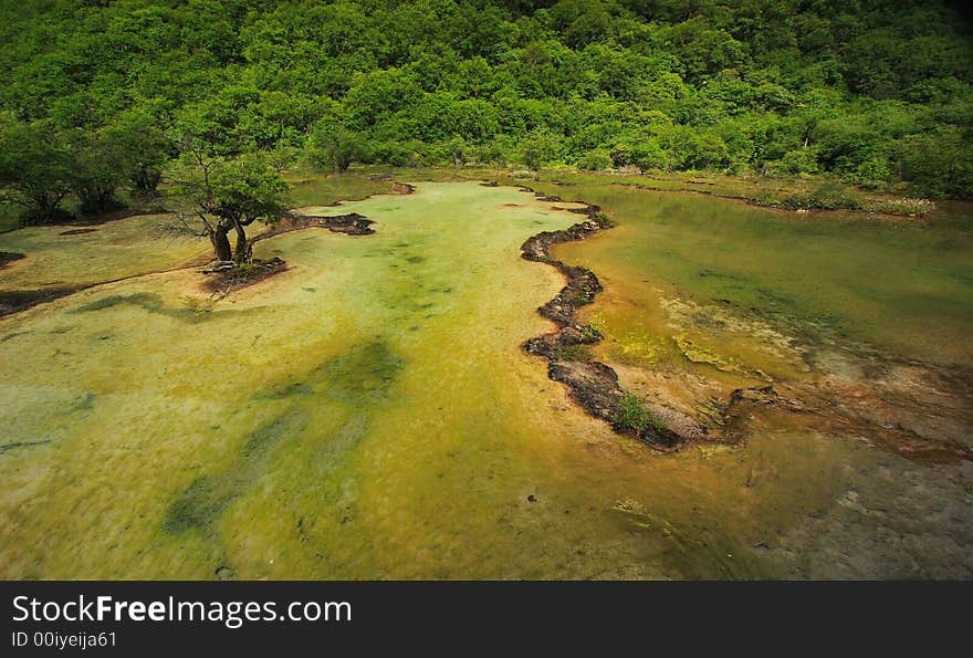 Limestone formations and hot springs in a forest along the Huanglong Valley, China. Limestone formations and hot springs in a forest along the Huanglong Valley, China.