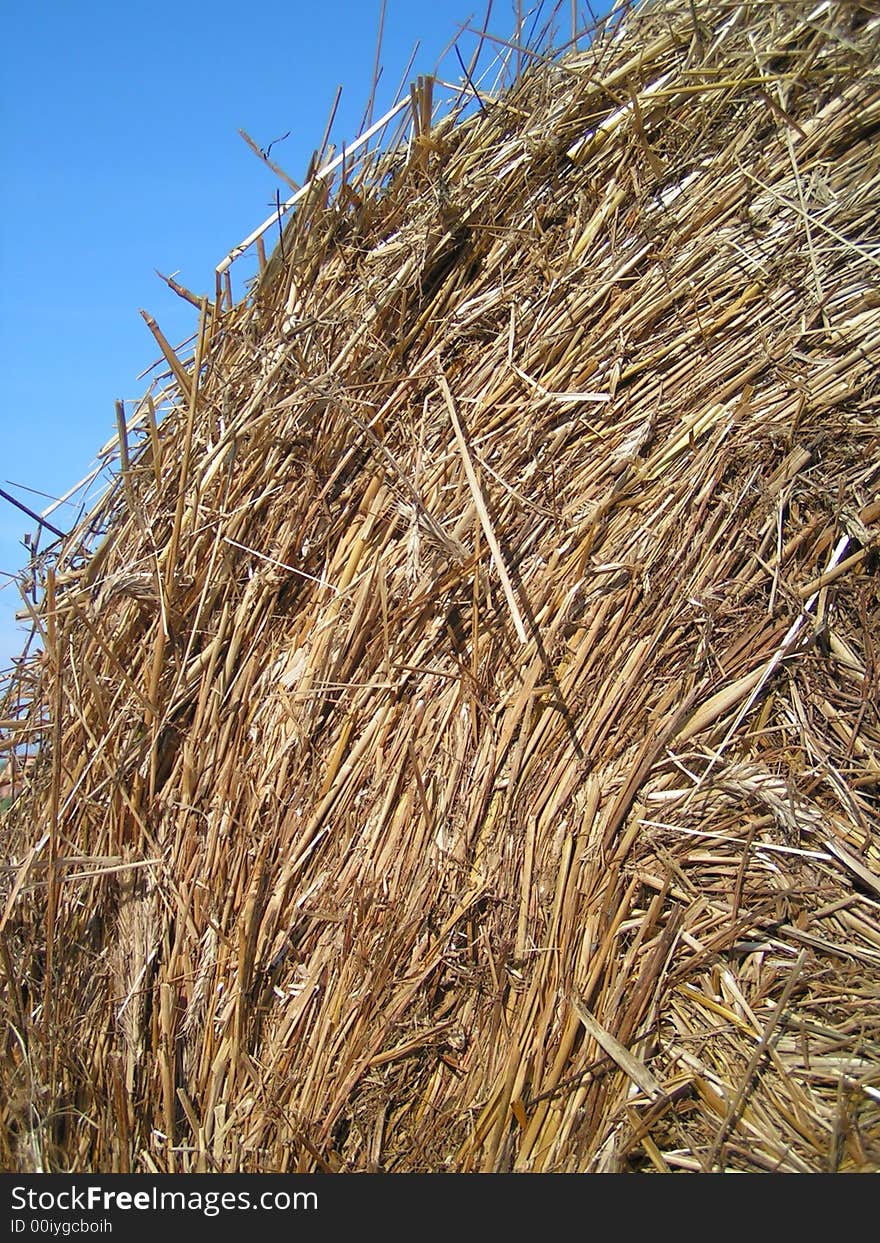 Straw in field in sun