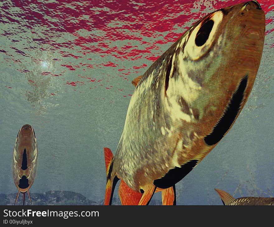 Illustration of underwater life in the sea