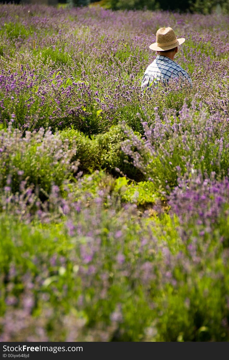 Man in field