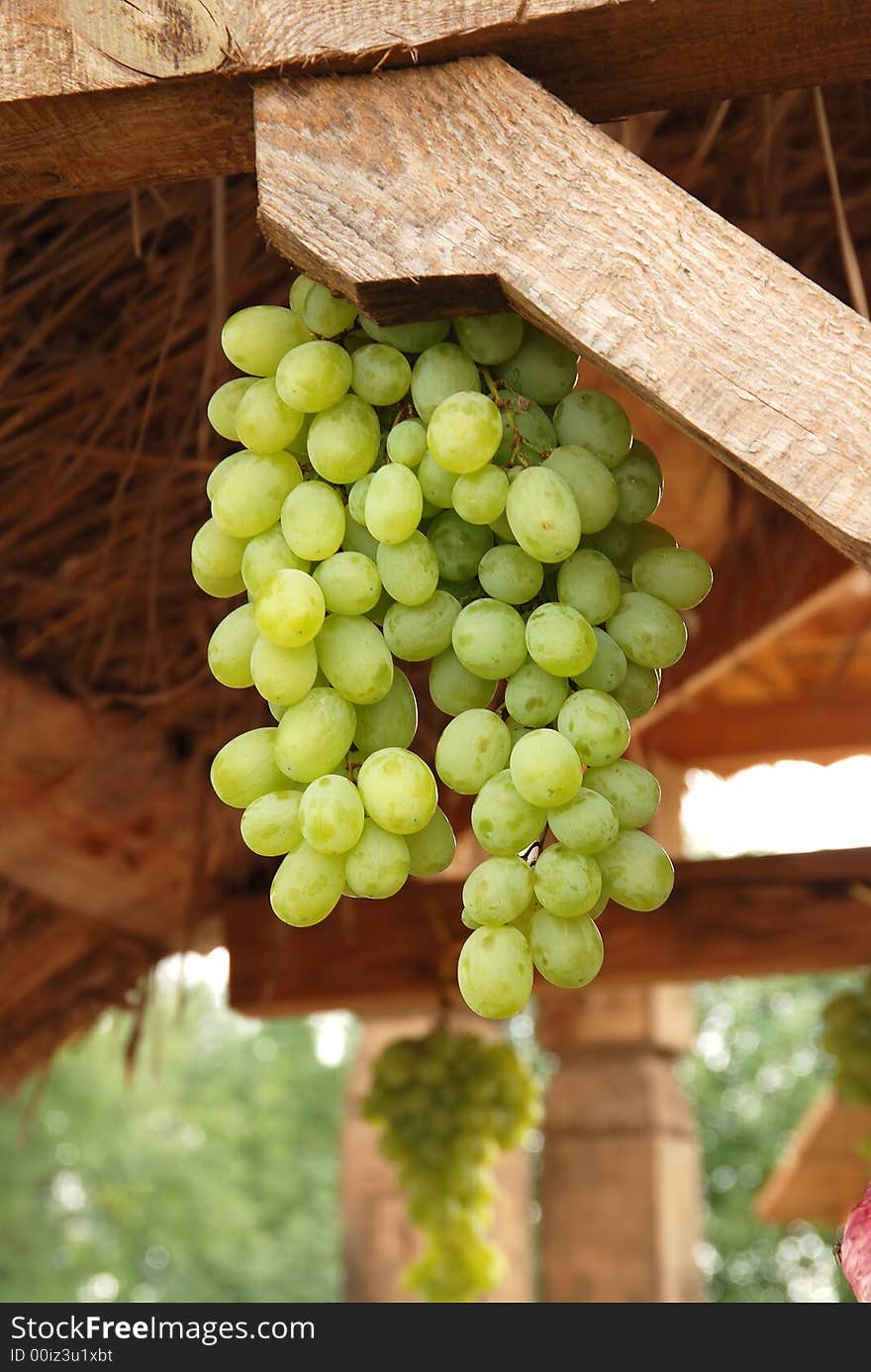 Bunch of a green grapes on fair