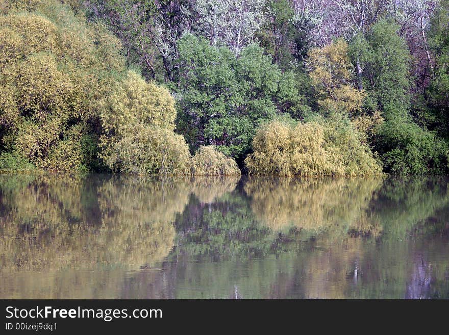 Beautiful lake view. Nature in summer. Beautiful lake view. Nature in summer.