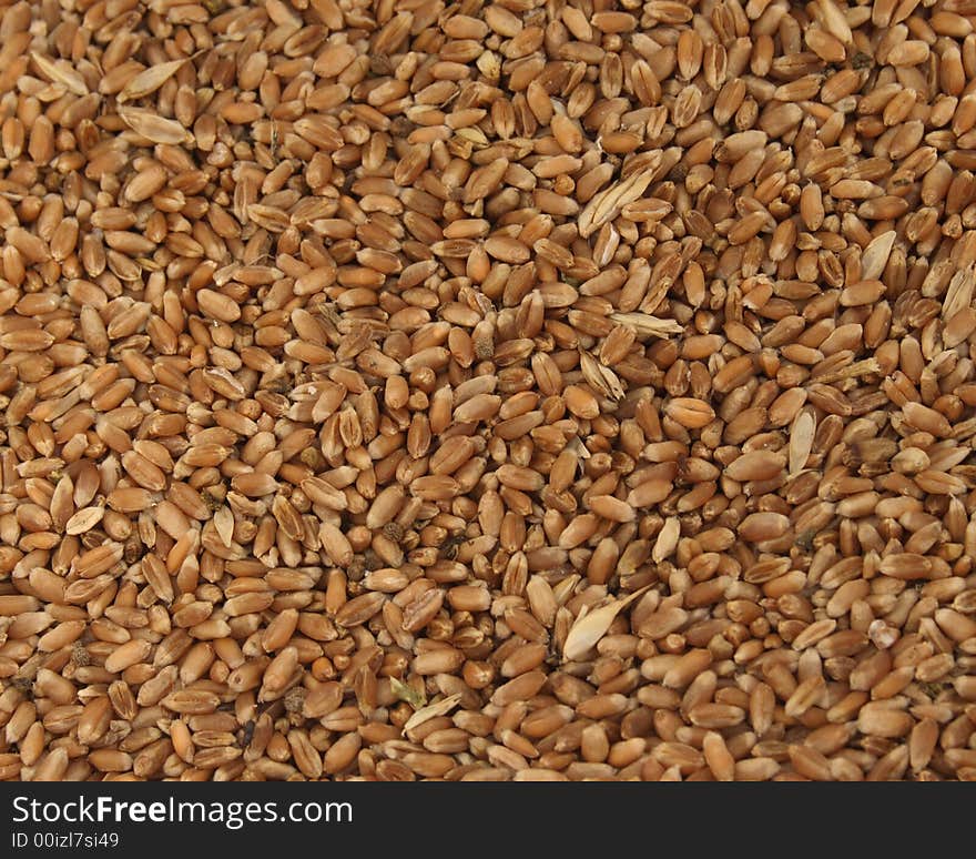 Grain