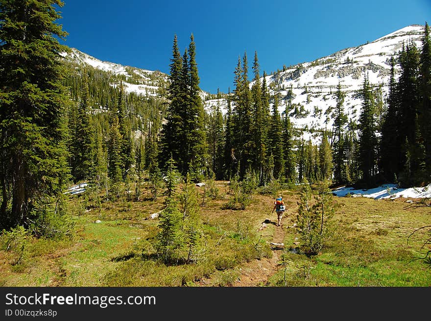 Hiking through a mountain meadow backdropped by snowcapped peaks. Hiking through a mountain meadow backdropped by snowcapped peaks