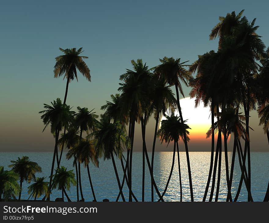 Tops of palm trees on a background of a sunset sky. Tops of palm trees on a background of a sunset sky