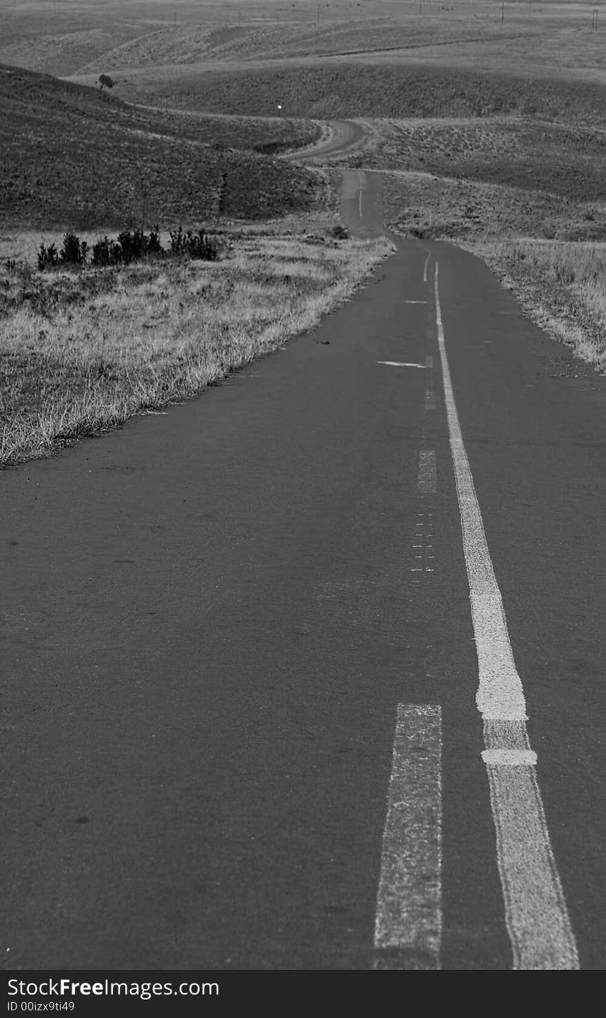 A black and white version of a deserted road in South Africa. A black and white version of a deserted road in South Africa