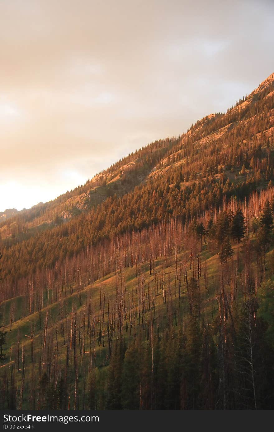 A mountainside scarred by a forest fire lit up from a fiery red sunset. A mountainside scarred by a forest fire lit up from a fiery red sunset