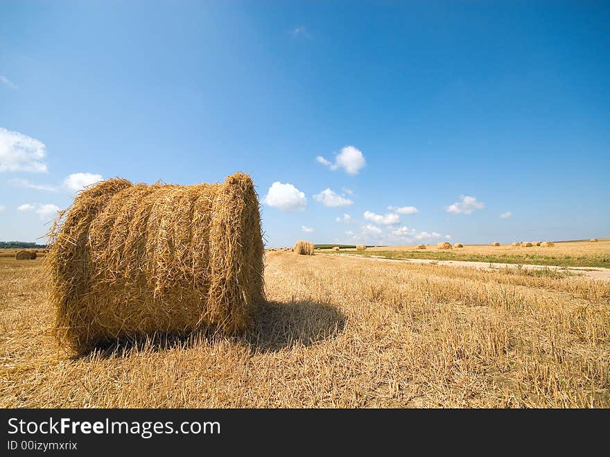 Round haystack in a field on background of the beautiful nature. Round haystack in a field on background of the beautiful nature