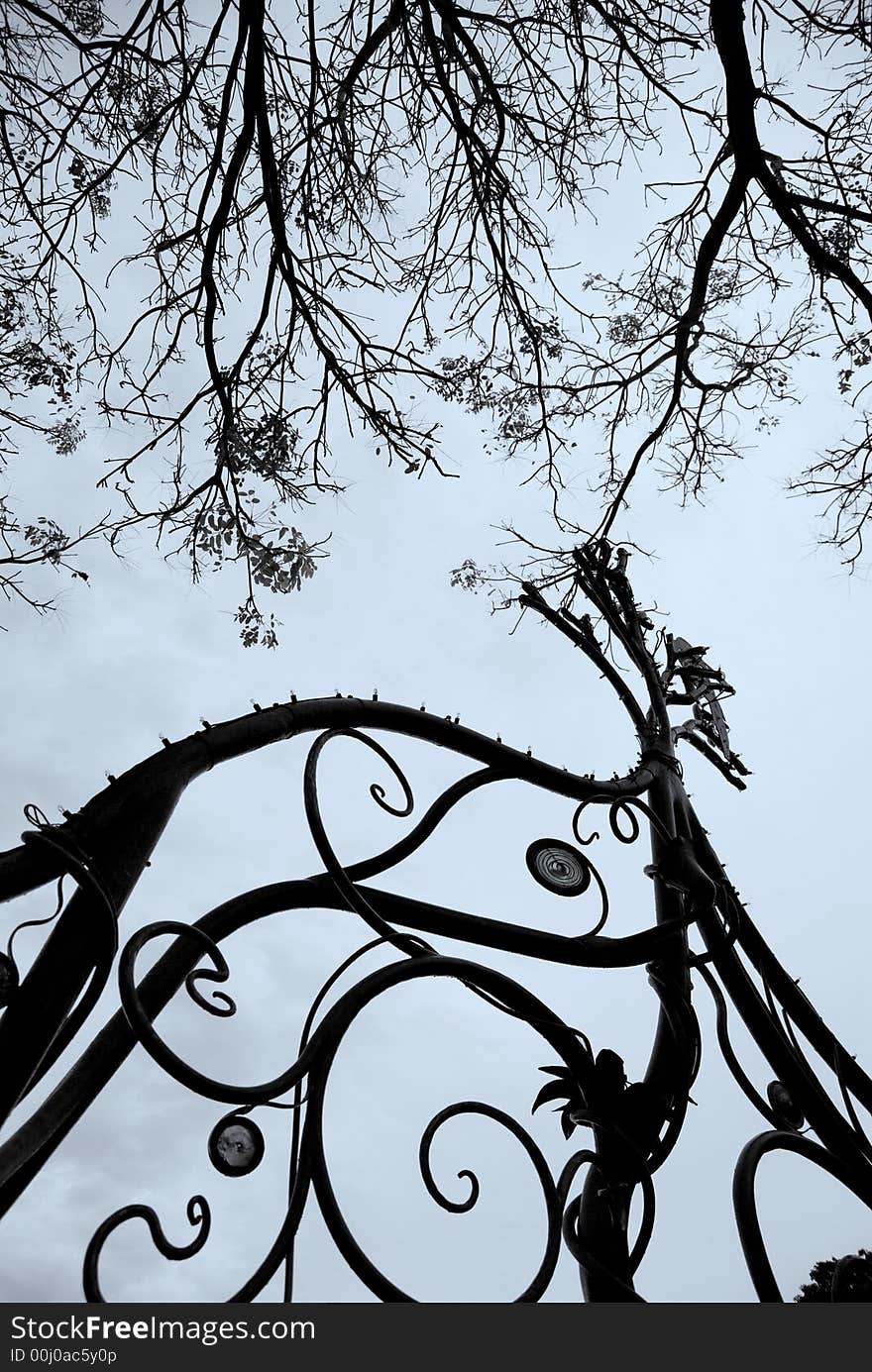 A fence framed by trees above. Suitable as an eerie photo. A fence framed by trees above. Suitable as an eerie photo