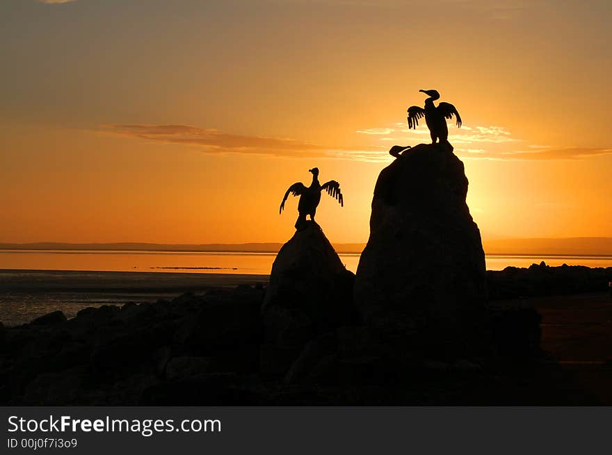 Two cormorants on rocks  drying their wings. Two cormorants on rocks  drying their wings