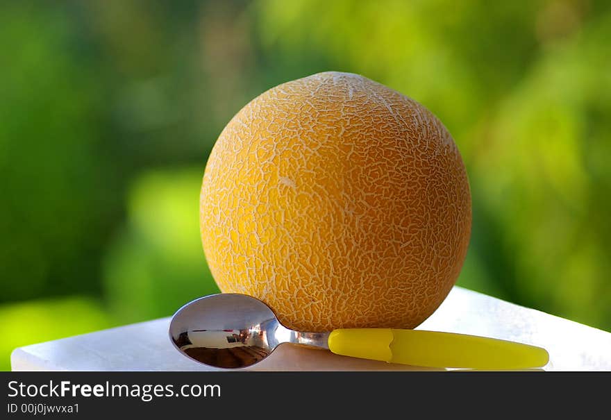 Cantaloups With Spoon