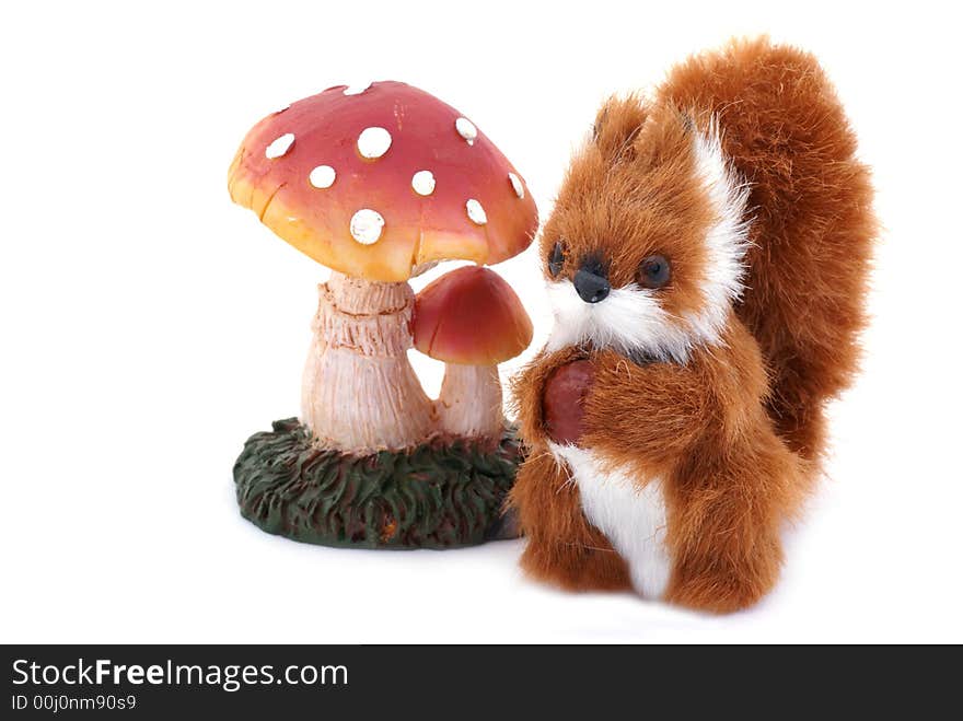 An isolated squirrel and toadstool next to eachother. An isolated squirrel and toadstool next to eachother.