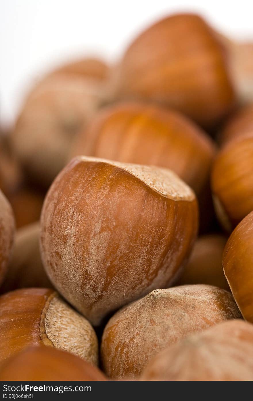 Hazelnut close-up isolated