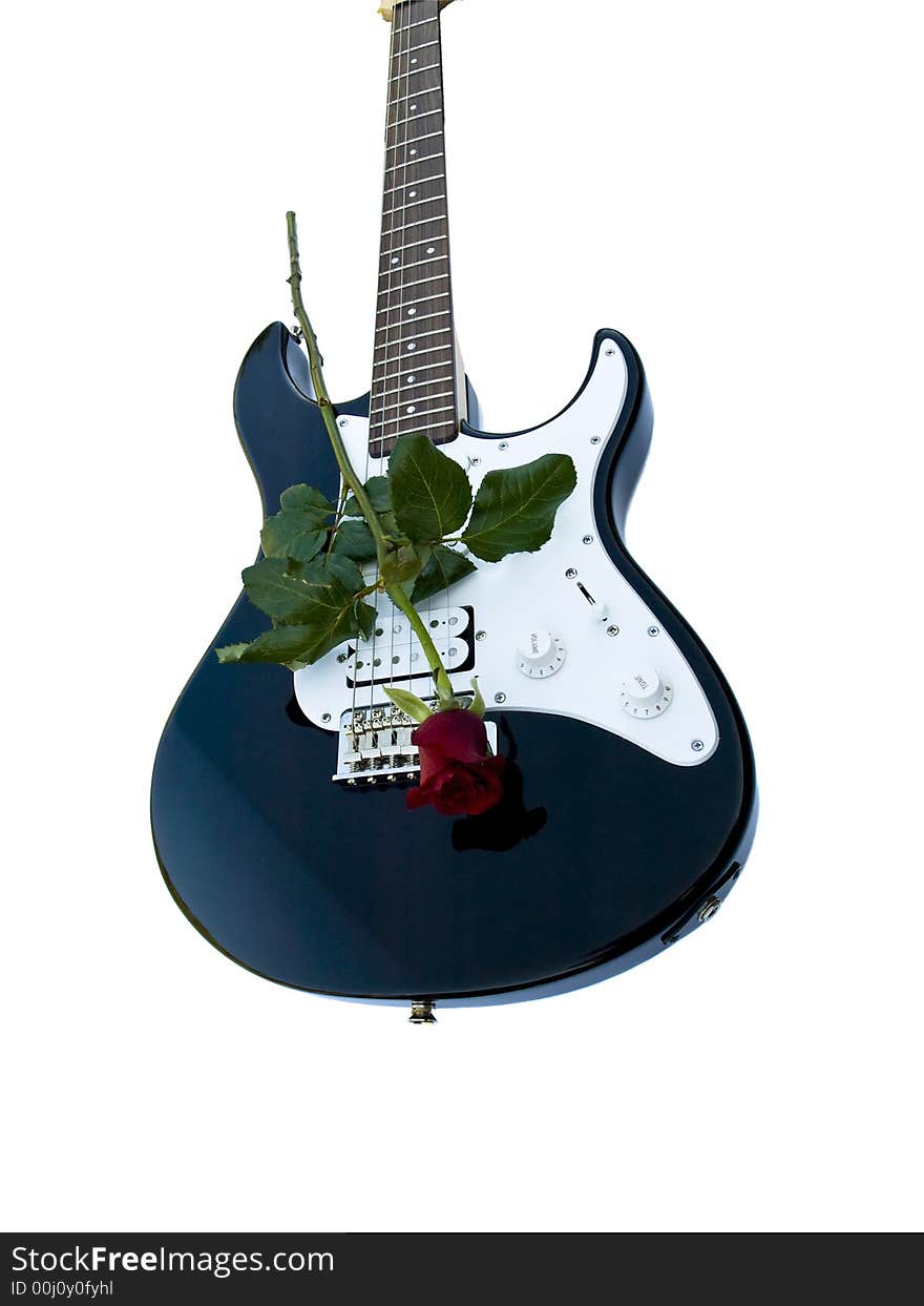 Fresh red rose on a dark blue acoustic guitar, over white. Fresh red rose on a dark blue acoustic guitar, over white