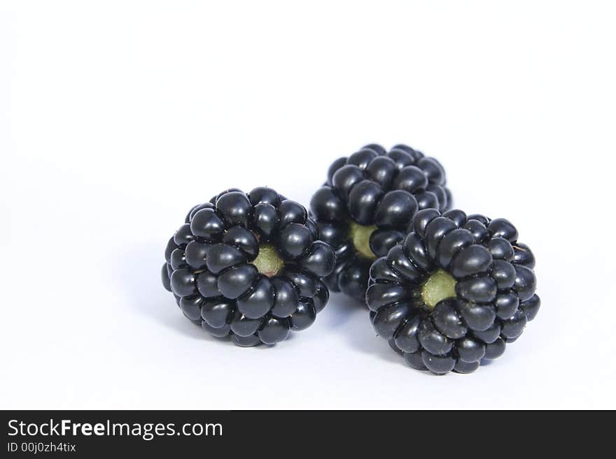 Three blackberries against a white background.