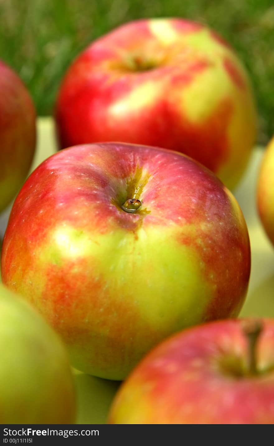 Summer apples in green grass.