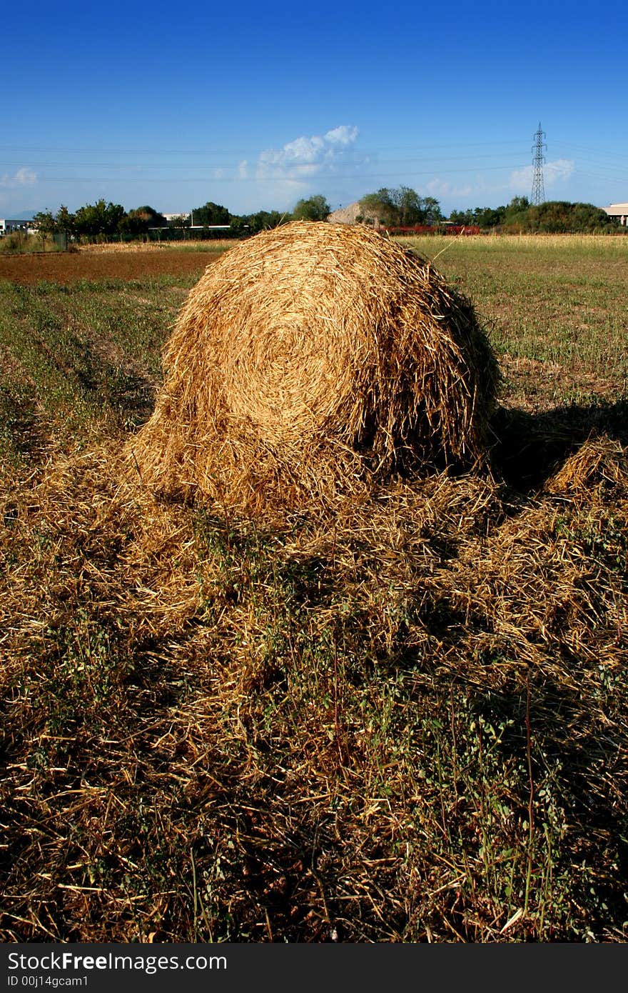 Broken hay bale on the field in a sunny day