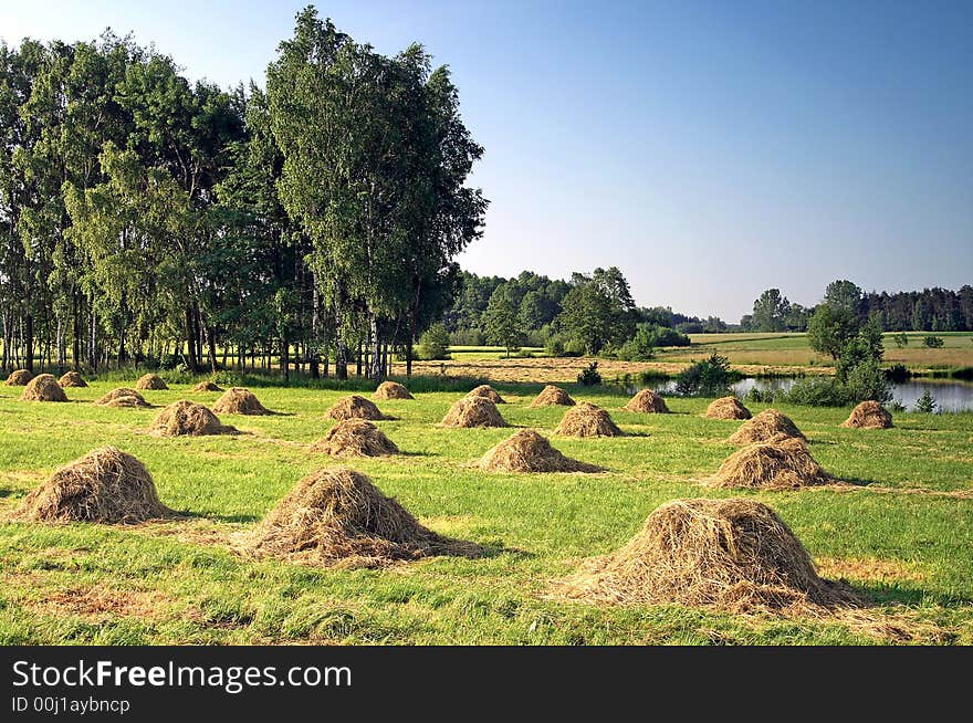 Typical view in a village during a spring . This high resolution image was taken by 10 mp Canon camera with professional lens.