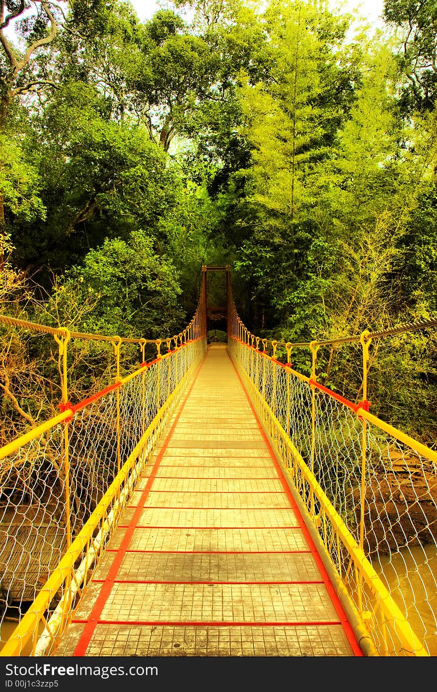 Hanging bridge leading to a dense green bamboo forest in India. Hanging bridge leading to a dense green bamboo forest in India