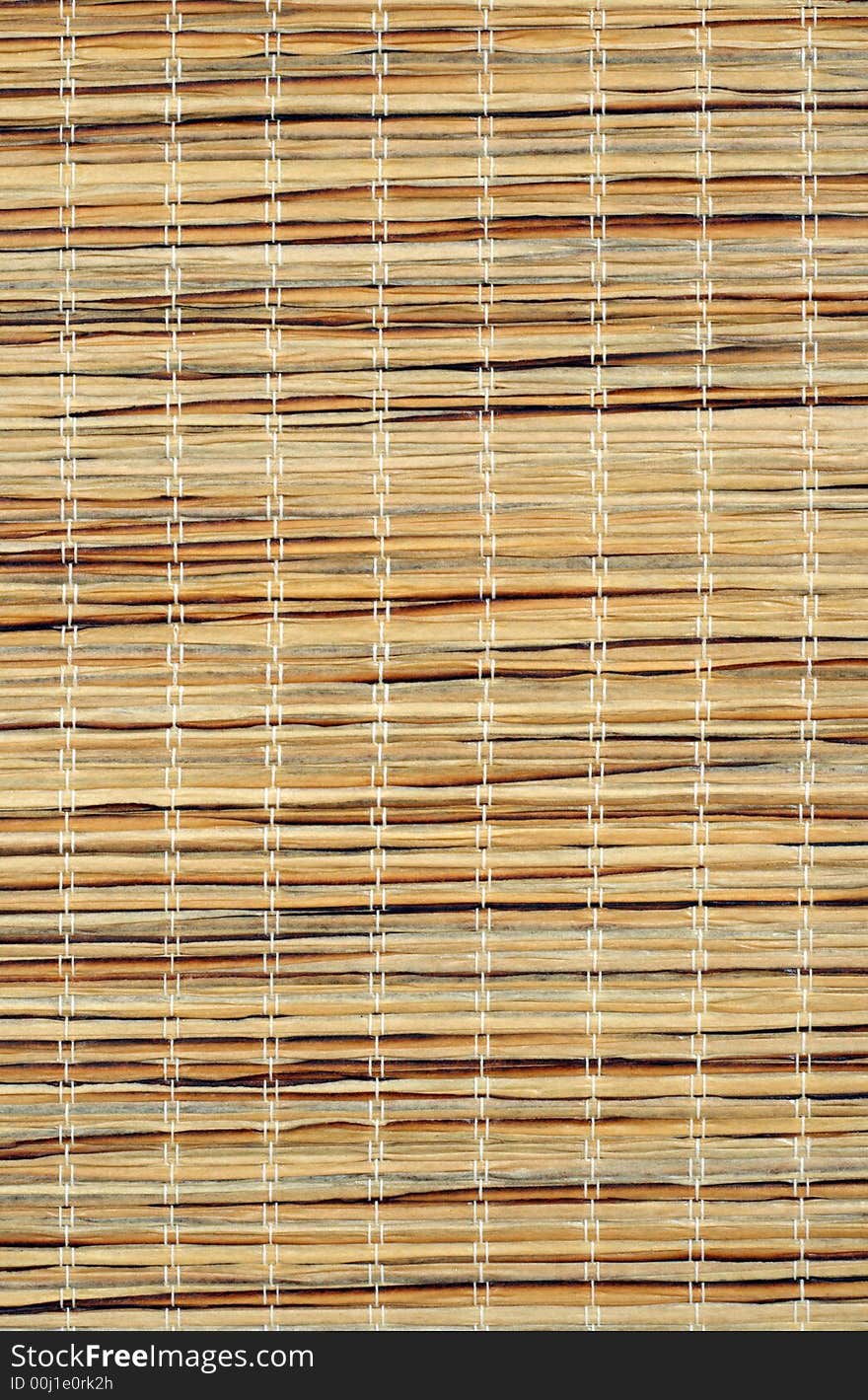 Bamboo texture. Hi resolution photo